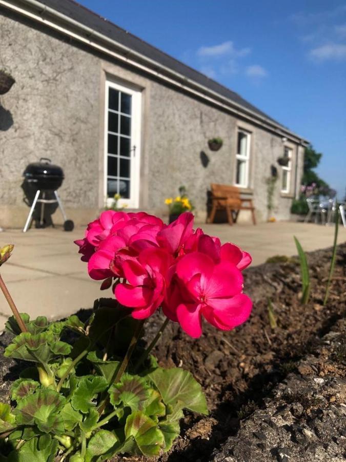 Ballyconnelly Cottages, Galgorm Area Cullybackey Extérieur photo